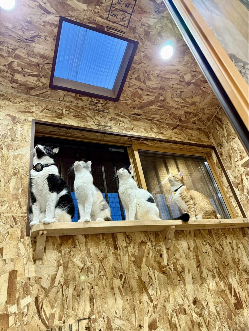 出所：@omochi_nam01