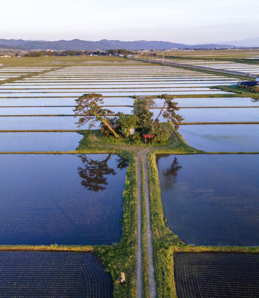 出所：@enuenuenubi