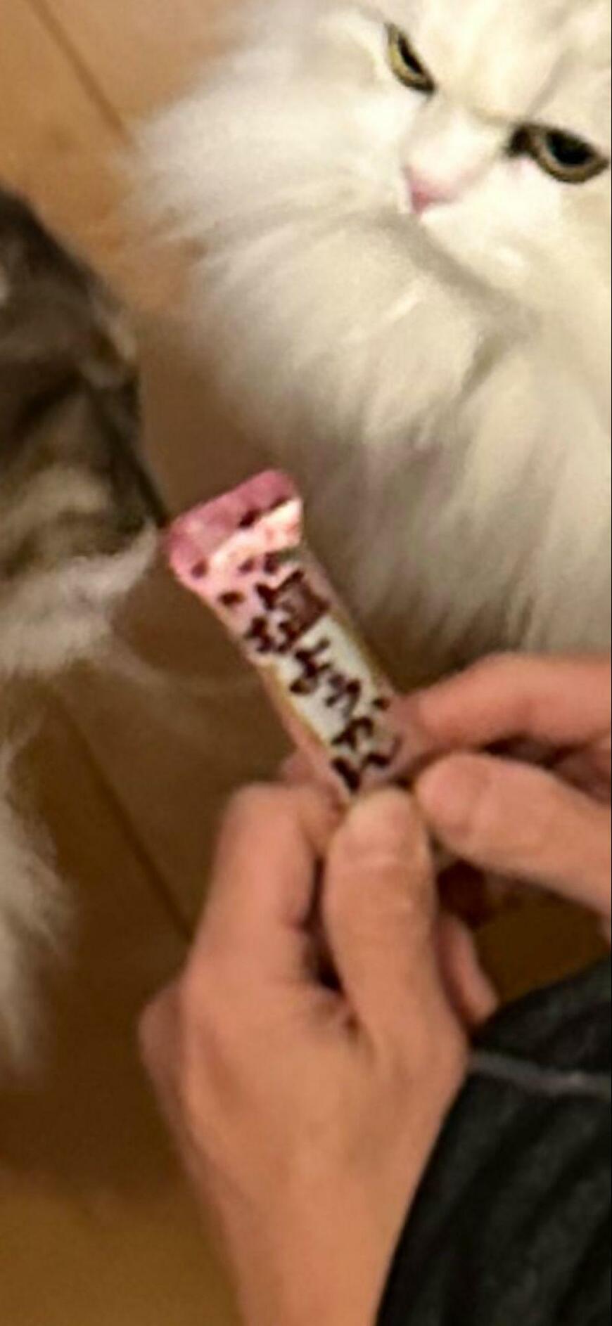 出所：@NEKOLAND13