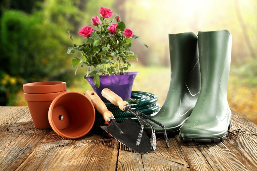 S_Photo/shutterstock.com