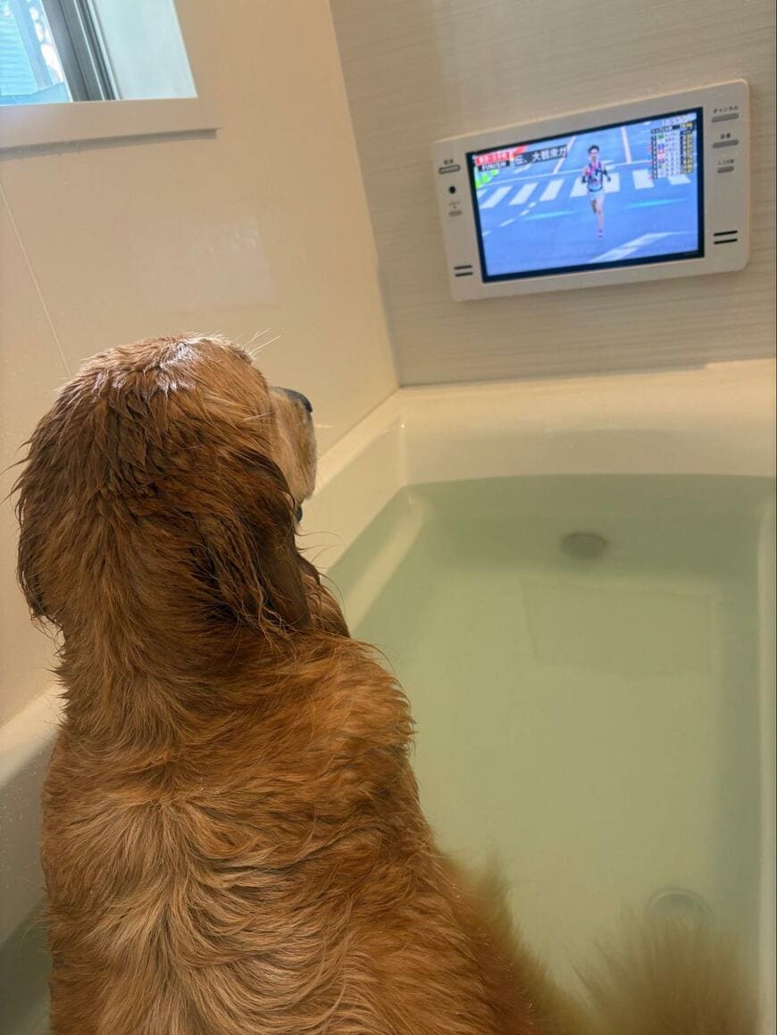 出所：@yumippe4981