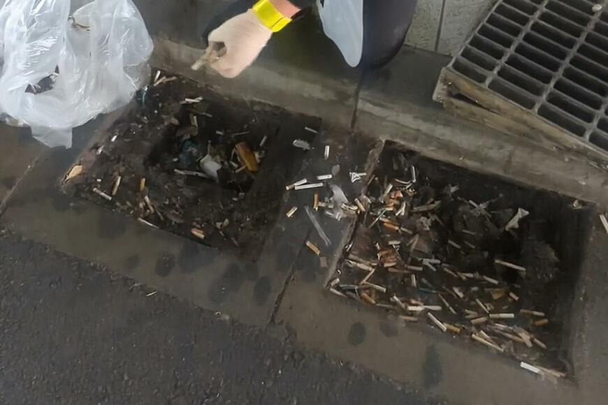 渋谷の排水溝にポイ捨てされたタバコの「吸い殻」　とんでもない量に思わず目を疑う