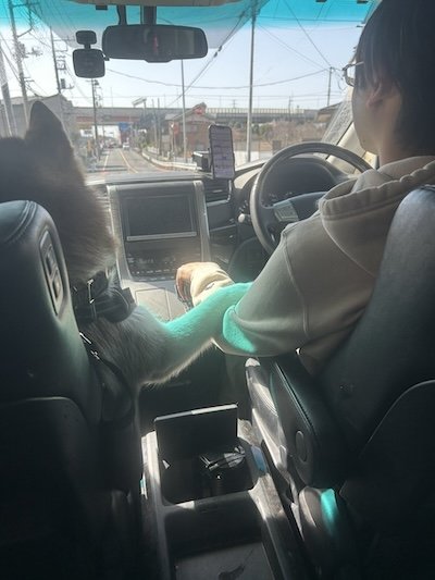 出所：@remchan_0215