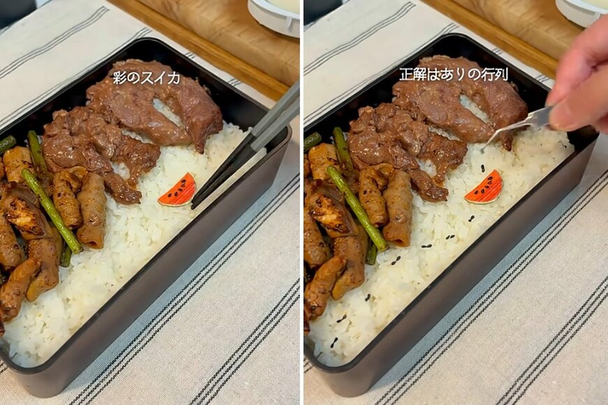 出所：@KINOKOTV-q4e