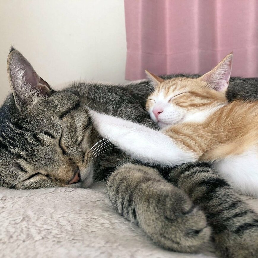 出所：@mero627puri914