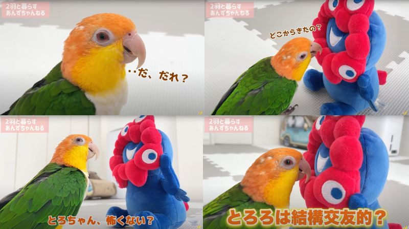 出所：@anz_omomiri