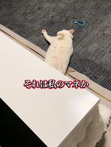 出所：@user5252430348026