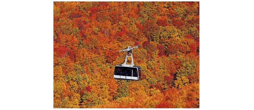 出所：じゃらん「圧巻の絶景紅葉ランキング」