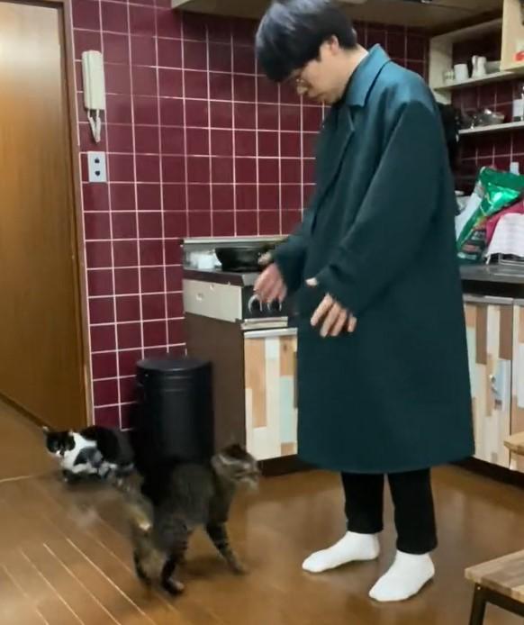 出所：@00shitemita 