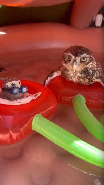 出所：@cr8673.hiro