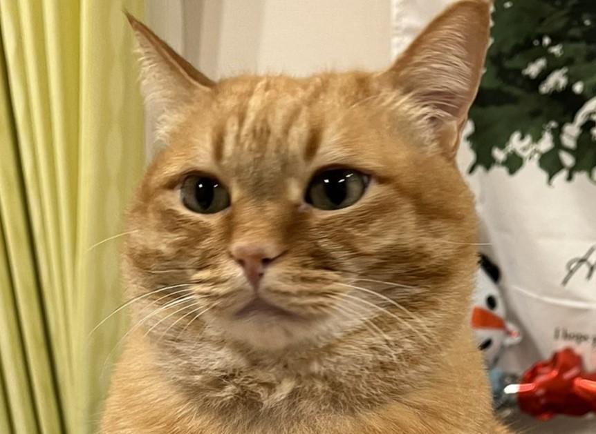 出所：@kagisuzu0531