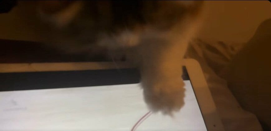 出所：＠maguro_hokke