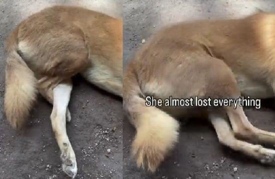 投稿の画像