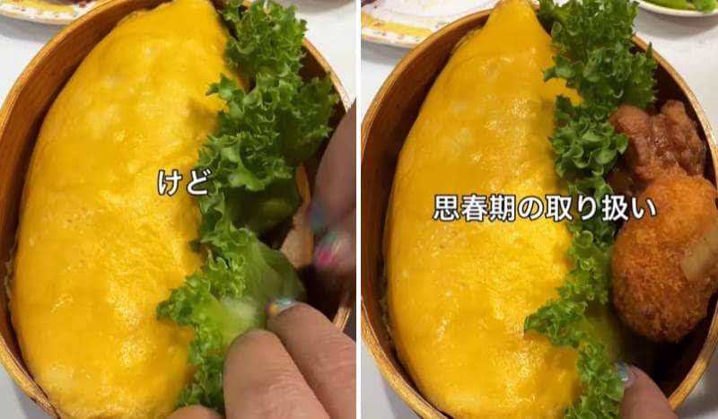 投稿の画像