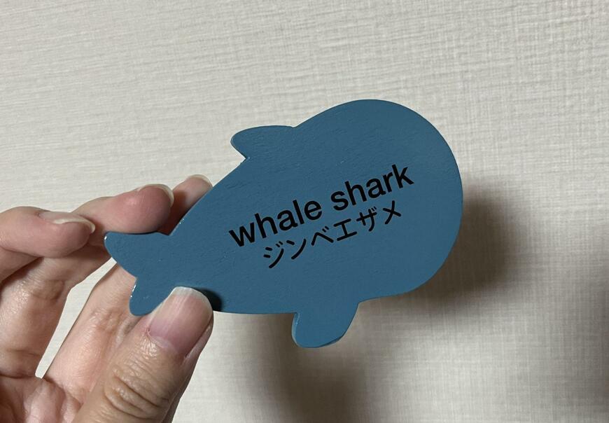 キャンドゥ、木製パズル　水族館　画像