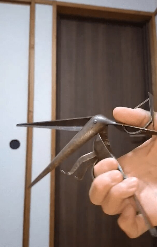鳥の形をしたハサミ