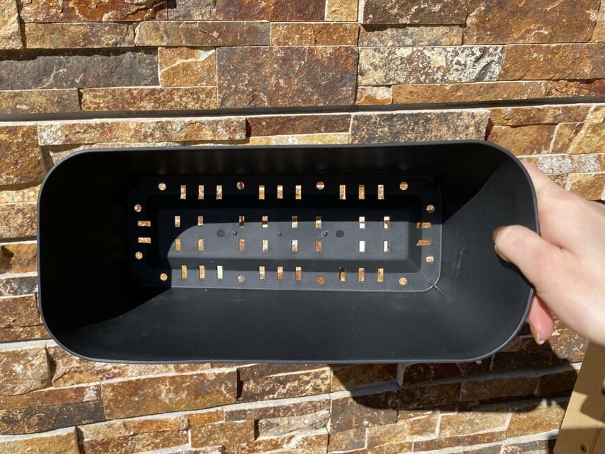 ほうれん草の種まきに初心者が挑戦