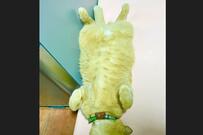 完全に「落っこちてる」元保護猫が話題！ 猫の飼育コスト事情も解説