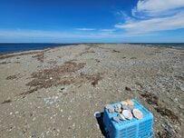 北海道・野付半島の先端へ足を運ぶと…非日常感が広がる光景に「この世の果てみたい」「一見の価値がある」