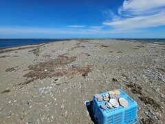 北海道・野付半島の先端へ足を運ぶと…非日常感が広がる光景に「この世の果てみたい」「一見の価値がある」