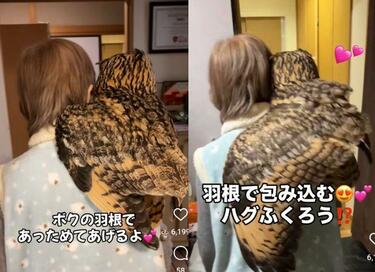 ほっこり】82歳おばあちゃんを、大きな翼で包み込む〈フクロウ