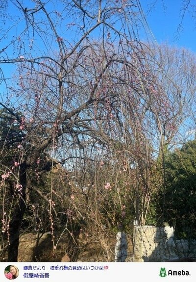 假屋崎省吾の公式ブログ投稿