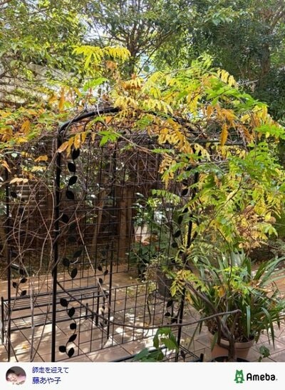 藤あや子のAmeba公式ブログ投稿