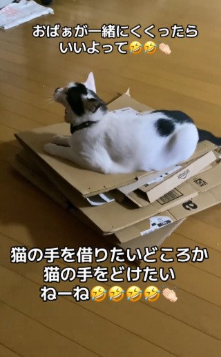 投稿動画のワンシーン