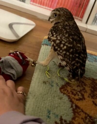 投稿動画のワンシーン