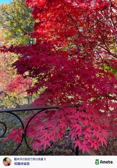 假屋崎省吾のInstagram投稿