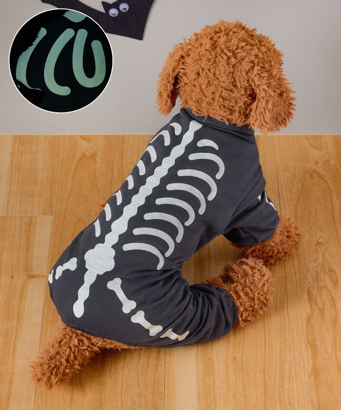 ペットの記念フォトにぴったりな光る骸骨ロンパース