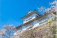 B’z稲葉浩志、地元・岡山での誕生日祝福ショットに反響 松本孝弘からの花に「大きな愛を感じます」ファン感動