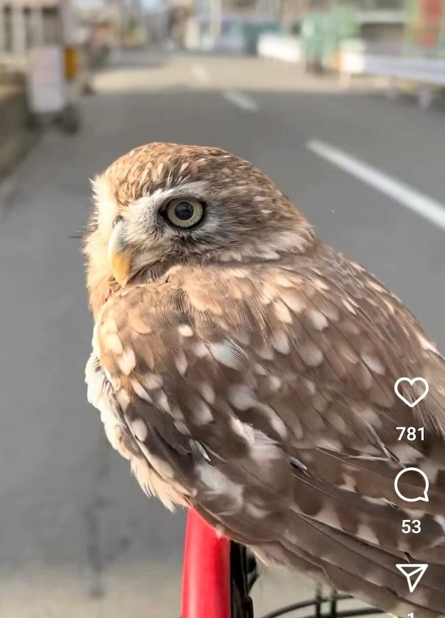 出所：@cr8673.hiro