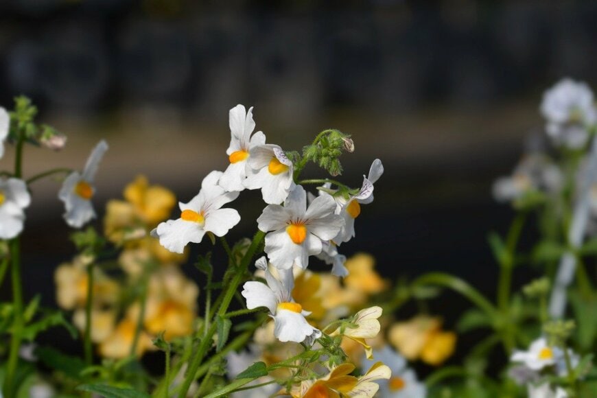 Nahhan/istockphoto.com