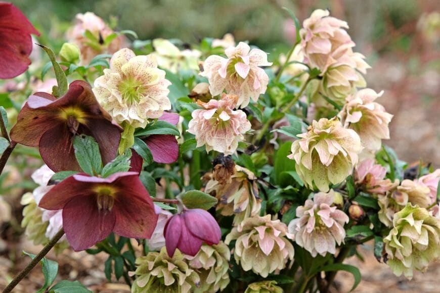 Alex Manders/shutterstock.com