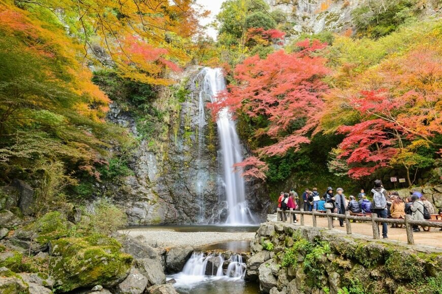 Kittichai/shutterstock.com