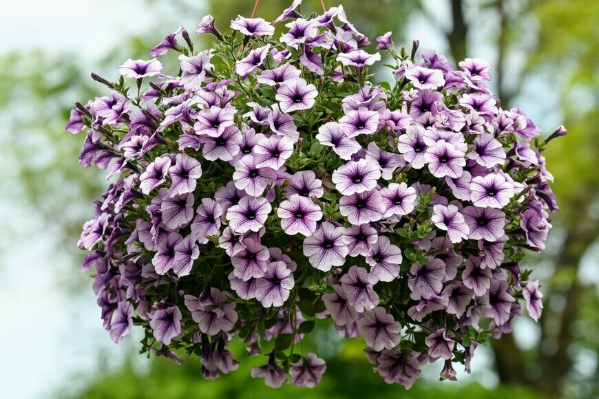 Cristina Ionescu/istockphoto.com