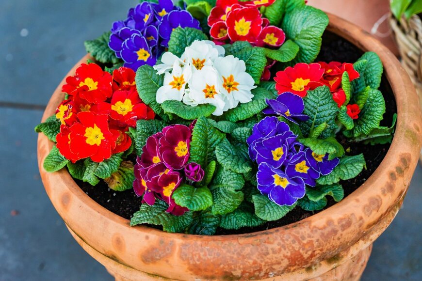 Shebeko/shutterstock.com