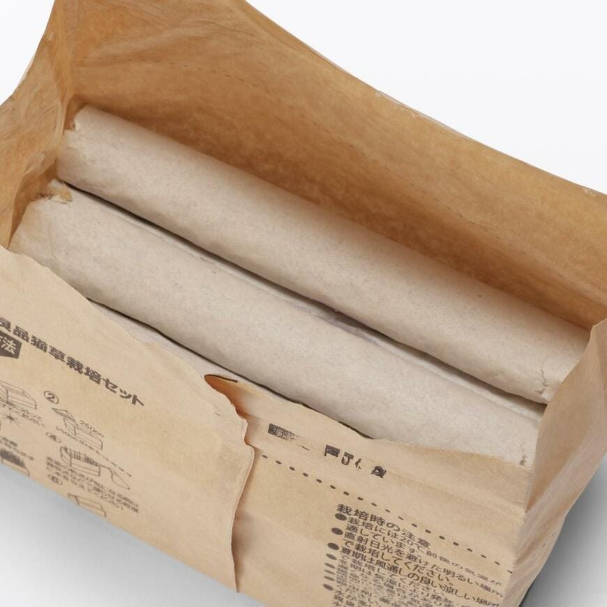 出所：無印良品ネットストア 土を使っていない 猫草栽培セット