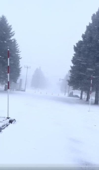 出所：@naamuuaamii