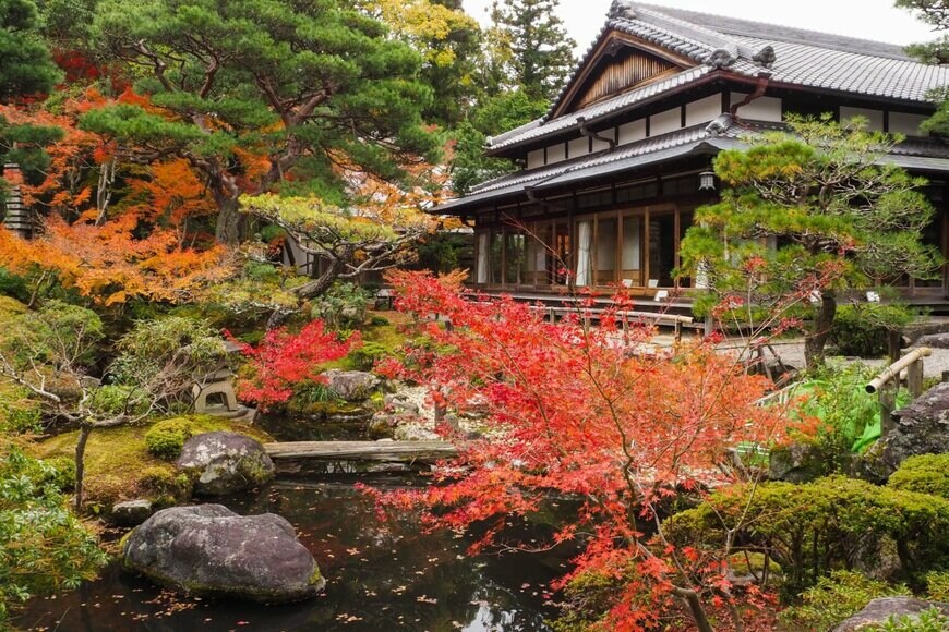 irina guseva/shutterstock.com