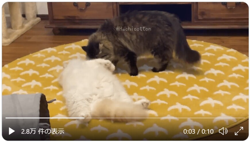 出所：ぽてねのアポロ@Hachicotton