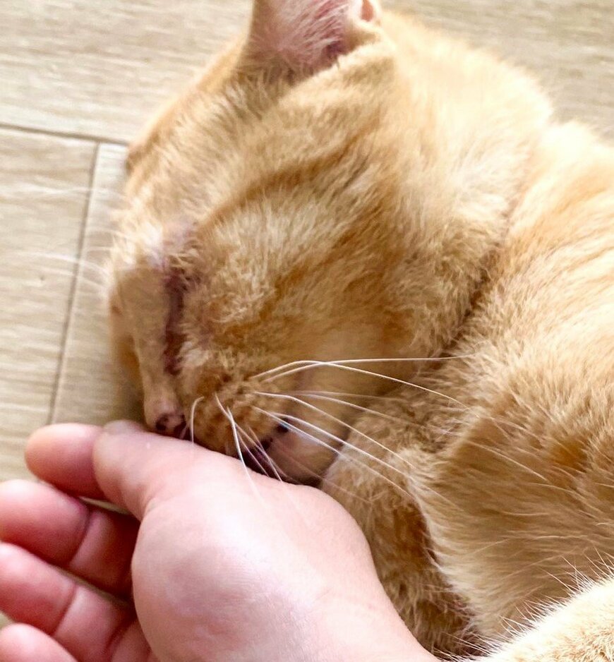 出所：@luna7taka9