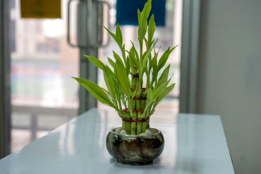 Nop.C/shutterstock.com