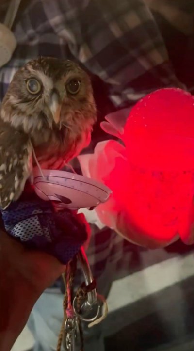 出所：@cr8673.hiro