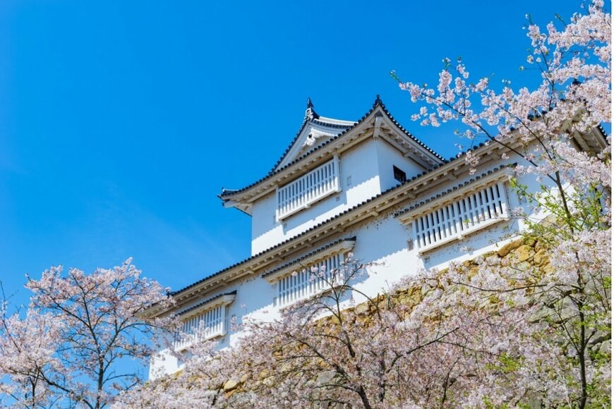 B’z稲葉浩志、地元・岡山での誕生日祝福ショットに反響 松本孝弘からの花に「大きな愛を感じます」ファン感動