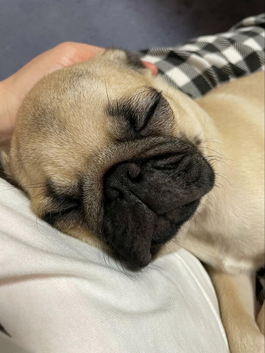 出所:@3mO1vmCNYtEPcWw