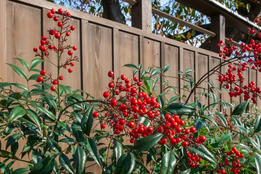 iori/istockphoto.com