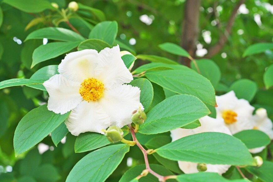 igaguri_1/istockphoto.com