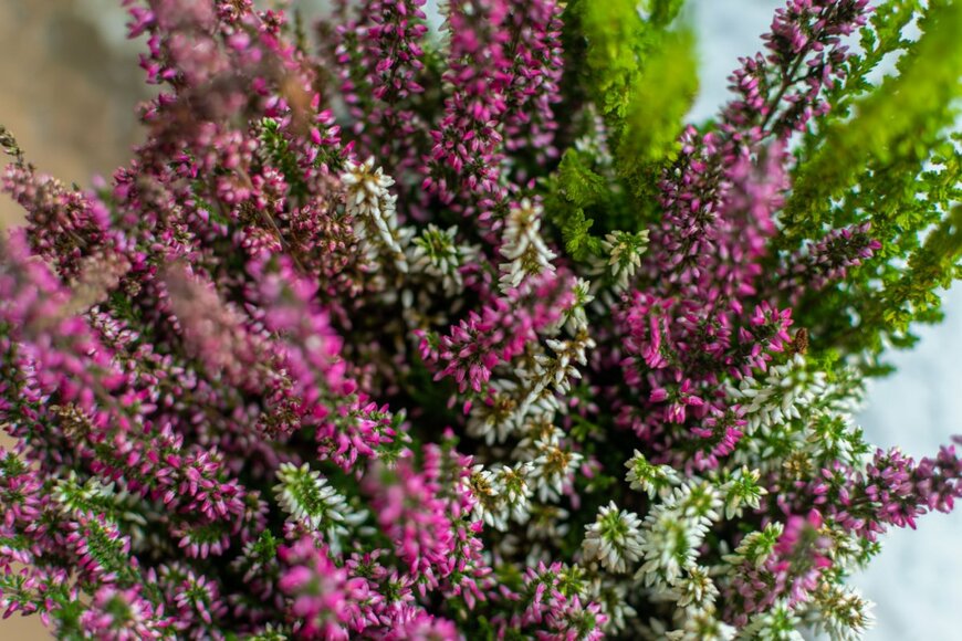 Jorgson Photography/shutterstock.com